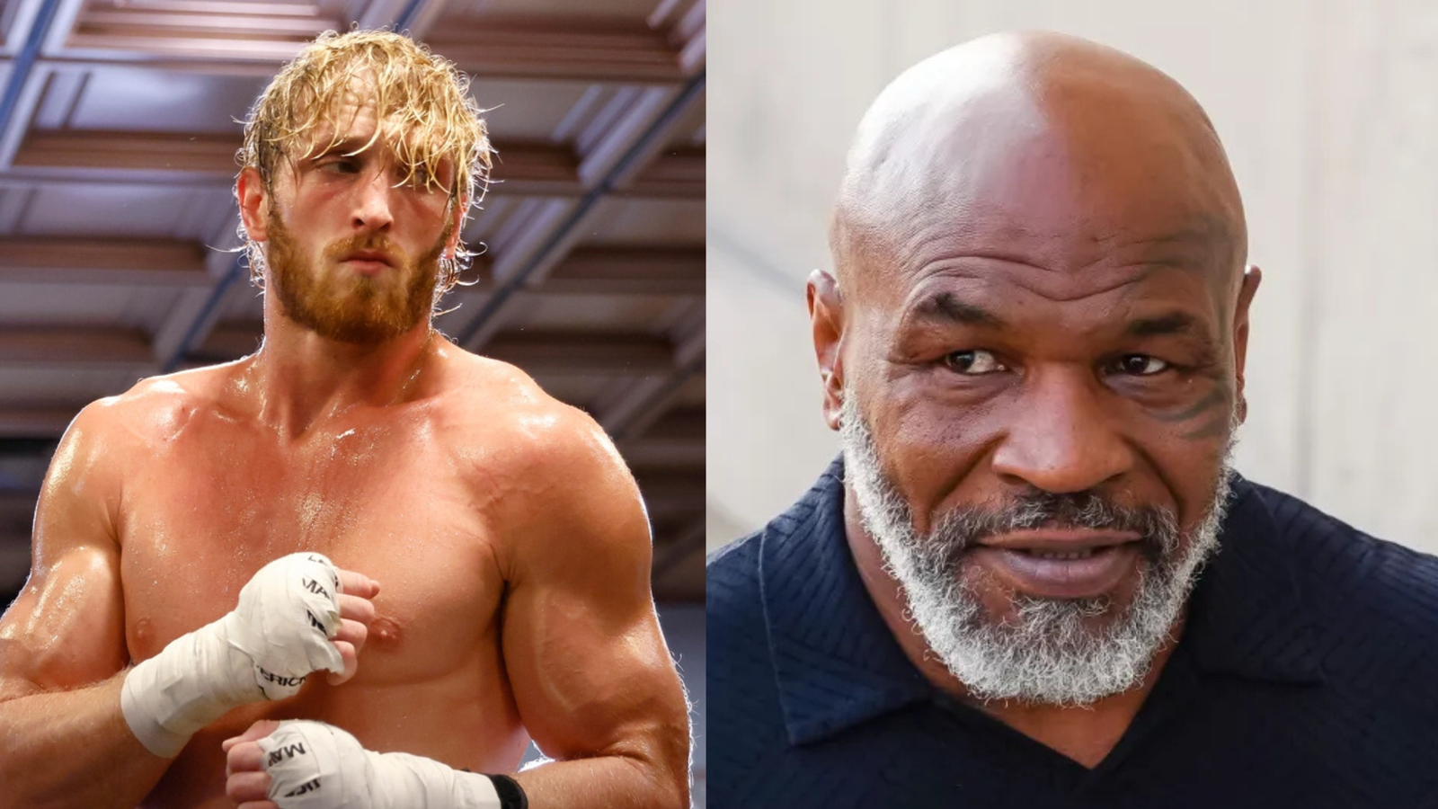 logan paul mike tyson